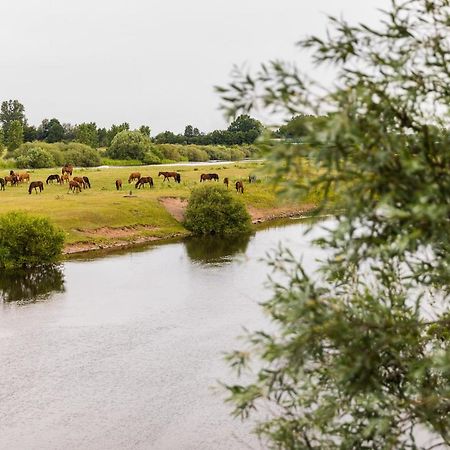Thoeles*** Am Allerpark Verden Verden an der Aller Екстериор снимка