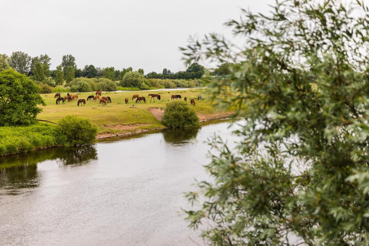 Thoeles*** Am Allerpark Verden Verden an der Aller Екстериор снимка